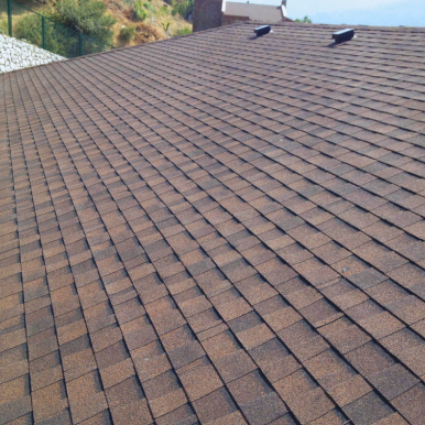 Roofing Shingles 