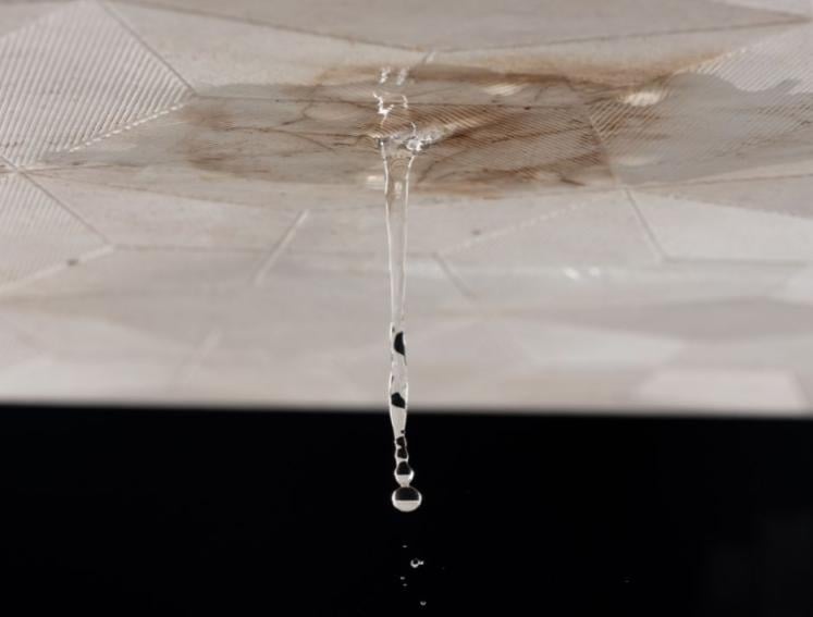 Leaking roof